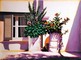 Image01